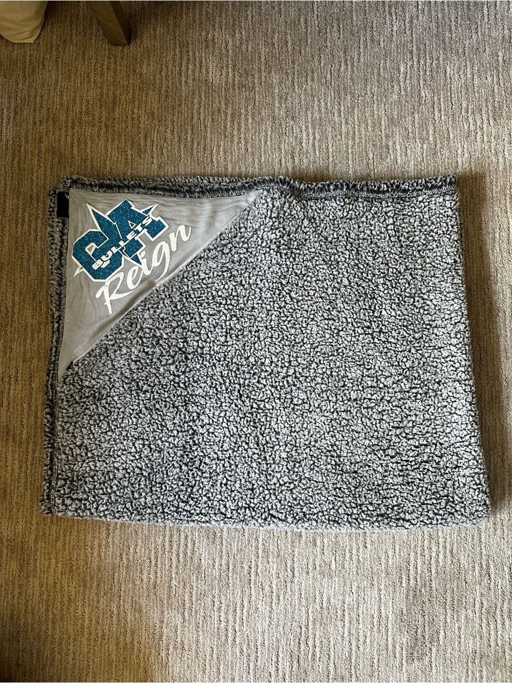 California Allstars Reign Plush Sherpa Throw Blanket - Light Gray